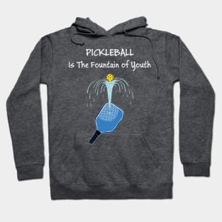 Pickleball - The Fountain of Youth Hoodie